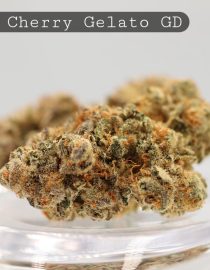 Greendoor-Lemon-Cherry-Gelato_Cannabis-Flower_The-Dope-Warehouse