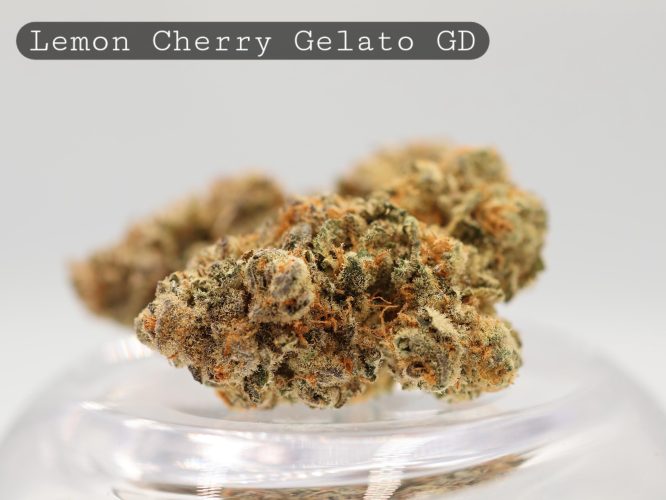 Greendoor-Lemon-Cherry-Gelato_Cannabis-Flower_The-Dope-Warehouse