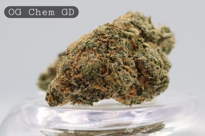 Greendoor-OG-Chem_Cannabis-Flower_The-Dope-Warehouse
