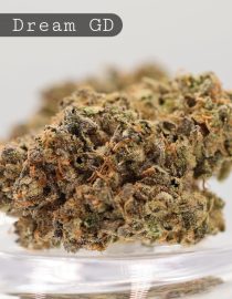 Greendoor-Prema-Dream_Cannabis-Flower_The-Dope-Warehouse