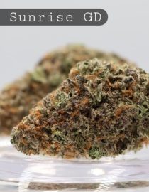 Greendoor-Purple-Sunrise_Cannabis-Flower_The-Dope-Warehouse