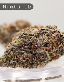 Indoor-Black-Mamba_Cannabis-Flower_The-Dope-Warehouse