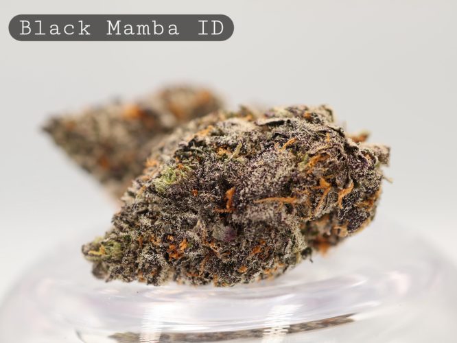 Indoor-Black-Mamba_Cannabis-Flower_The-Dope-Warehouse