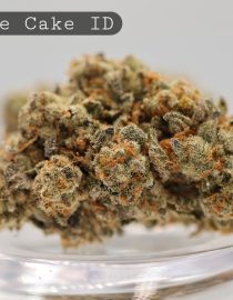 Indoor-Cheese-Cake_Cannabis-Flower_The-Dope-Warehouse