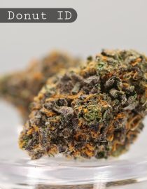 Indoor-Jelly-Donut_Cannabis-Flower_The-Dope-Warehouse