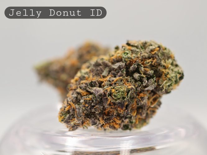 Indoor-Jelly-Donut_Cannabis-Flower_The-Dope-Warehouse