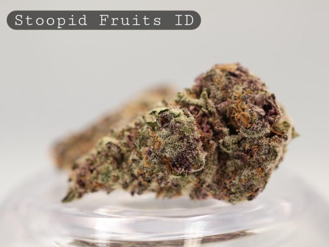 Indoor-Stoopid-Fruits_Cannabis-Flower_The-Dope-Warehouse