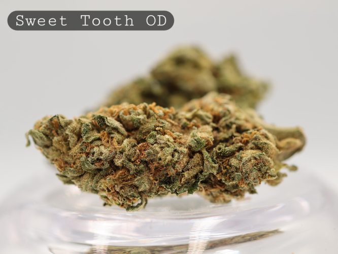 Outdoor-Sweet-Tooth_Cannabis-Flower_The-Dope-Warehouse