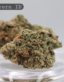 Indoor-Blunicorn_Cannabis-Flower_The-Dope-Warehouse
