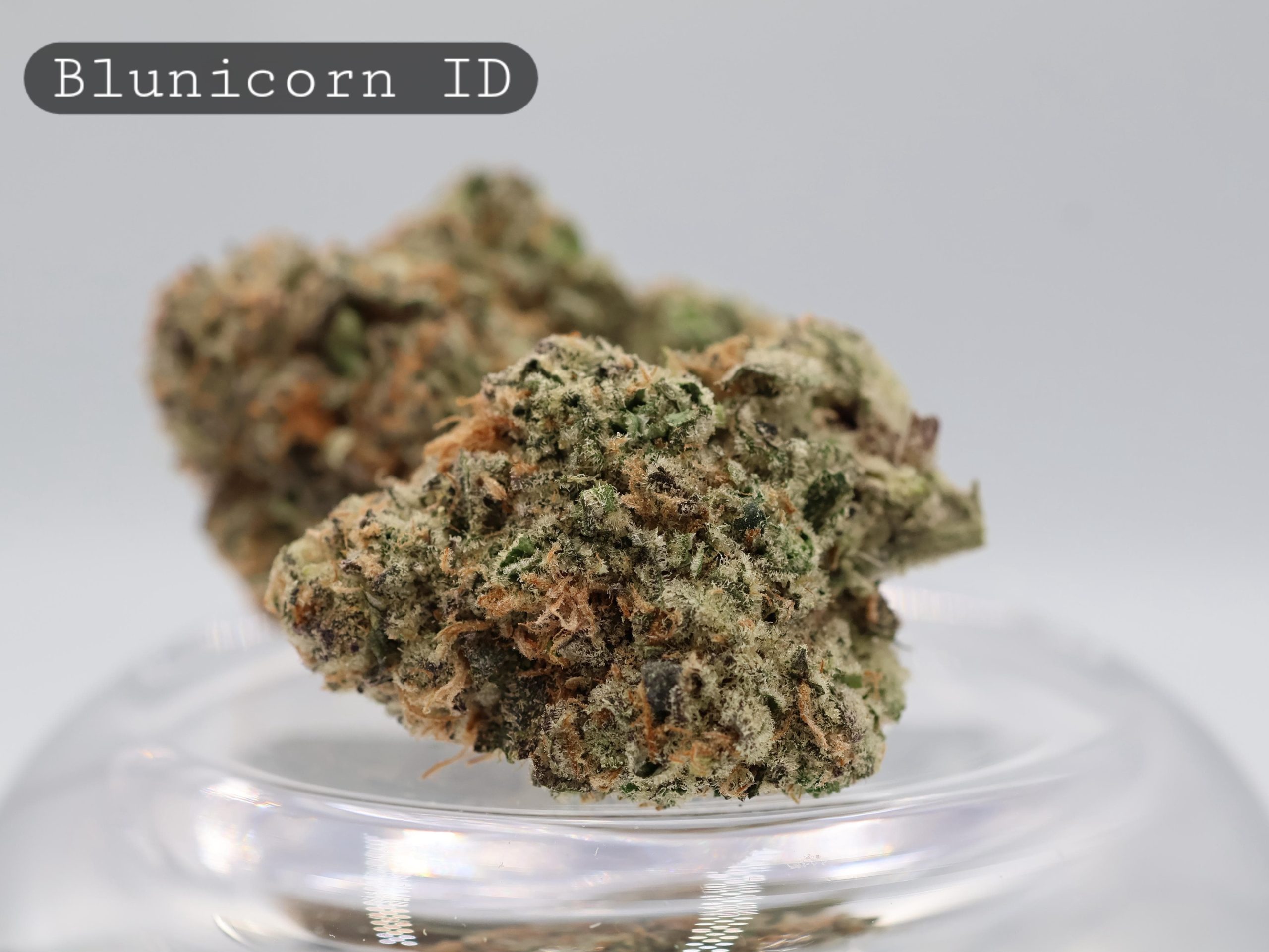 Indoor-Blunicorn_Cannabis-Flower_The-Dope-Warehouse