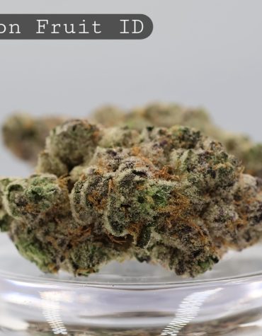 Indoor-Passion-Fruit_Cannabis-Flower_The-Dope-Warehouse