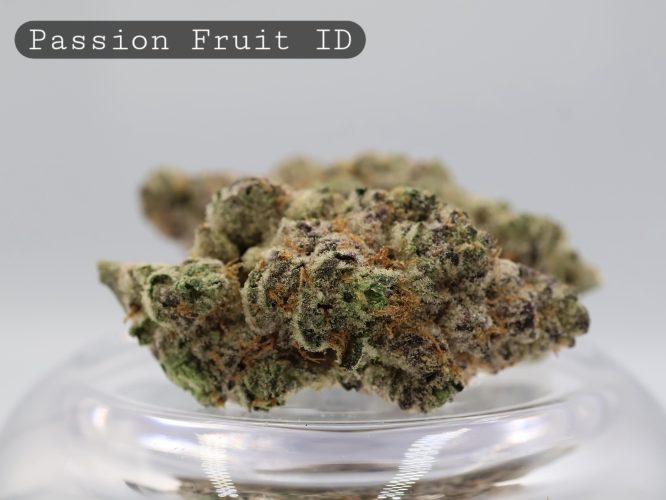 Indoor-Passion-Fruit_Cannabis-Flower_The-Dope-Warehouse
