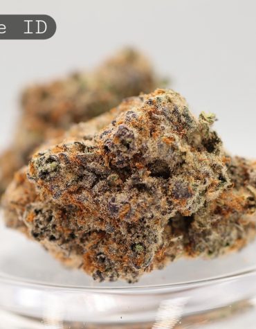 Indoor-Wookie_Cannabis-Flower_The-Dope-Warehouse