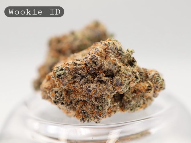 Indoor-Wookie_Cannabis-Flower_The-Dope-Warehouse