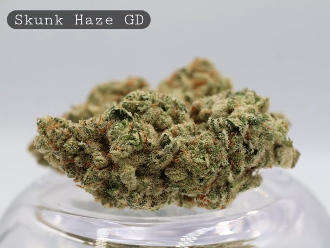 Greendoor-Skunk-Haze_Cannabis-Flower_The-Dope-Warehouse