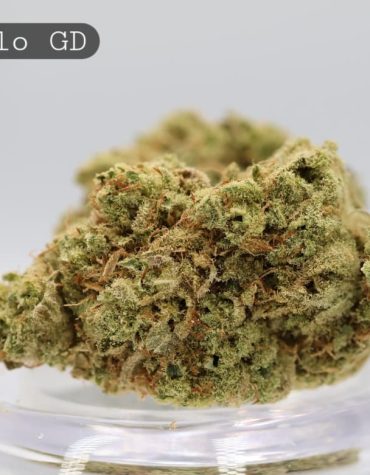 Greendoor-Tangelo_Cannabis-Flower_The-Dope-Warehouse