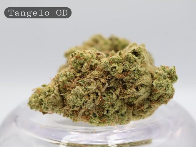 Greendoor-Tangelo_Cannabis-Flower_The-Dope-Warehouse
