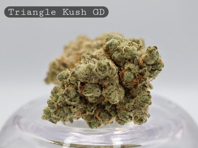 Greendoor-Triangle-Kush_Cannabis-Flower_The-Dope-Warehouse