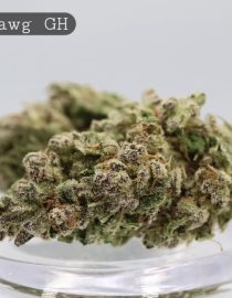 Greenhouse-Chemdawg_Cannabis-Flower_The-Dope-Warehouse