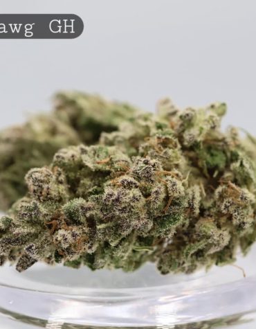 Greenhouse-Chemdawg_Cannabis-Flower_The-Dope-Warehouse