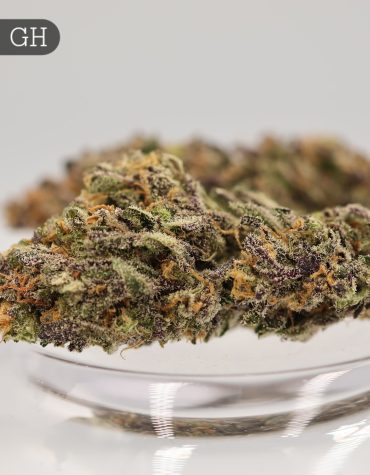 Greenhouse-Fatso_Cannabis-Flower_The-Dope-Warehouse