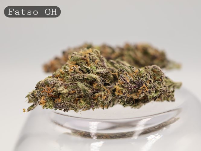 Greenhouse-Fatso_Cannabis-Flower_The-Dope-Warehouse