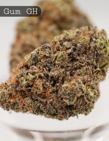 Greenhouse-Grape-Gum_Cannabis-Flower_The-Dope-Warehouse