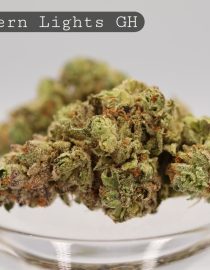 Greenhouse-Northern-Lights_Cannabis-Flower_The-Dope-Warehouse