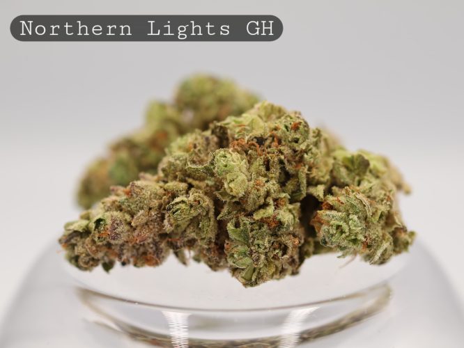 Greenhouse-Northern-Lights_Cannabis-Flower_The-Dope-Warehouse