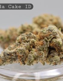 Indoor-Florida-Cake_Cannabis-Flower_The-Dope-Warehouse