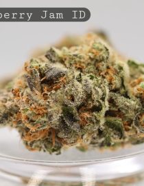 Indoor-Strawberry-Jam_Cannabis-Flower_The-Dope-Warehouse
