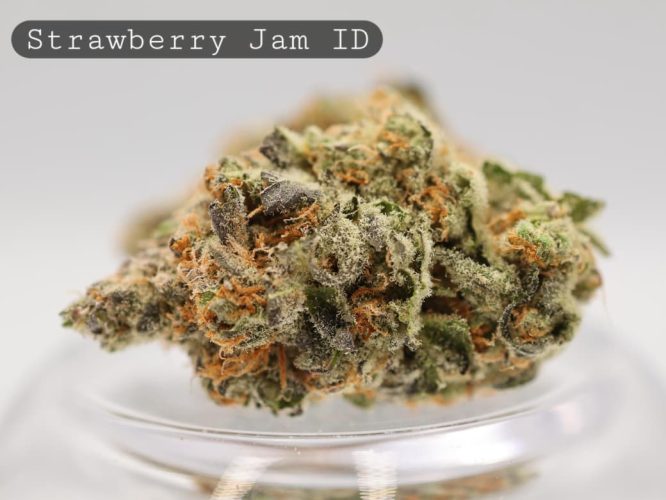 Indoor-Strawberry-Jam_Cannabis-Flower_The-Dope-Warehouse