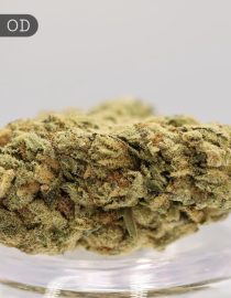 Outdoor-AK-47_Cannabis-Flower_The-Dope-Warehouse