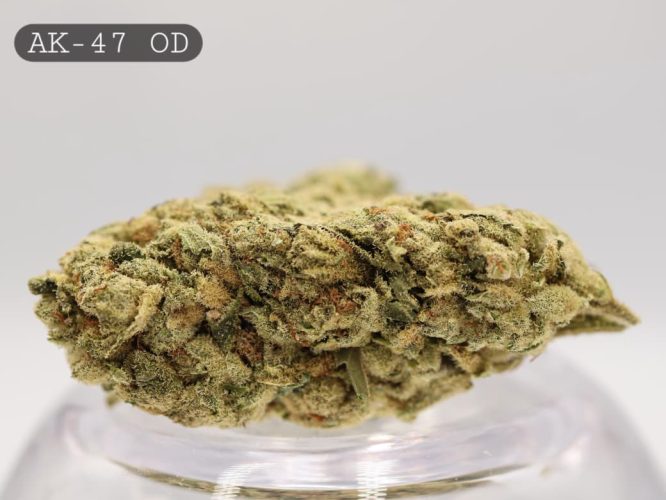 Outdoor-AK-47_Cannabis-Flower_The-Dope-Warehouse