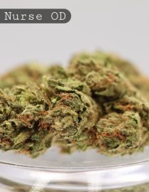 Outdoor-Night-Nurse_Cannabis-Flower_The-Dope-Warehouse