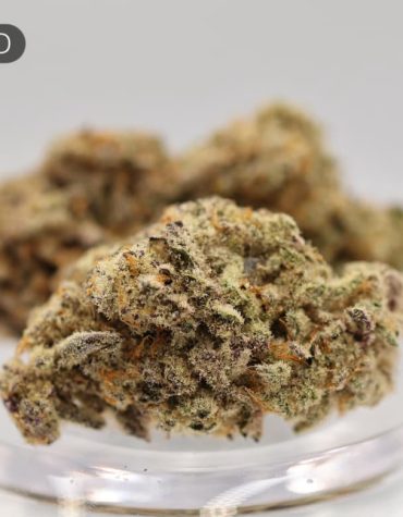 Greendoor-Mac_Cannabis-Flower_The-Dope-Warehouse