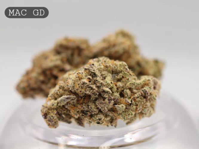Greendoor-Mac_Cannabis-Flower_The-Dope-Warehouse