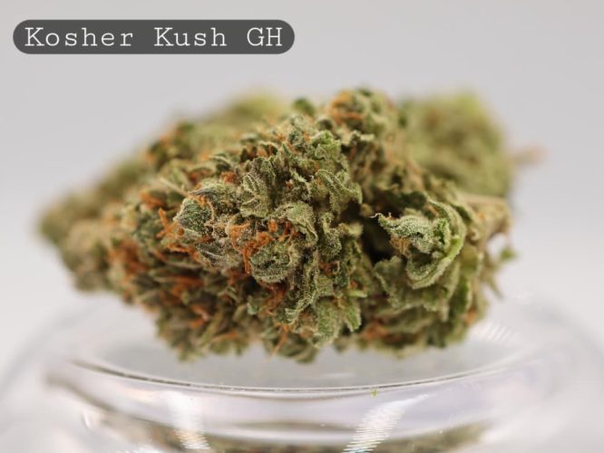Greenhouse-Kosher-Kush_Cannabis-Flower_The-Dope-Warehouse