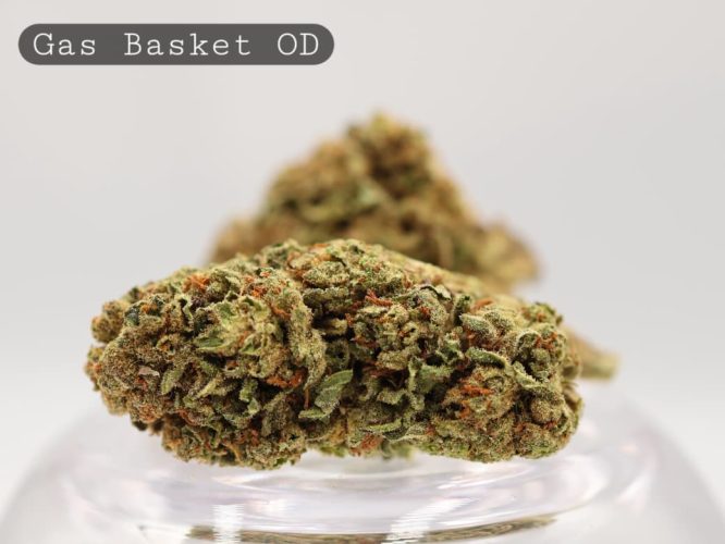 Outdoor-Gas-Basket_Cannabis-Flower_The-Dope-Warehouse