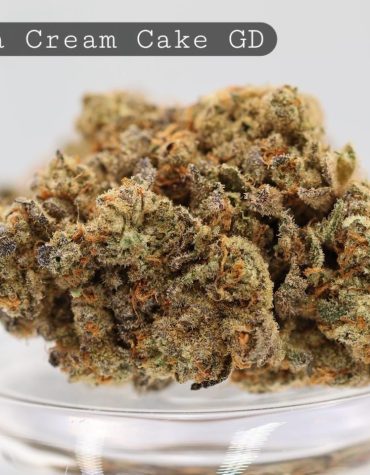 Greendoor-Banana-Cream-Cake_Cannabis-Flower_The-Dope-Warehouse