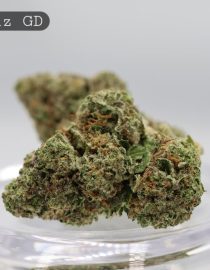 Greendoor Skittlz p/g