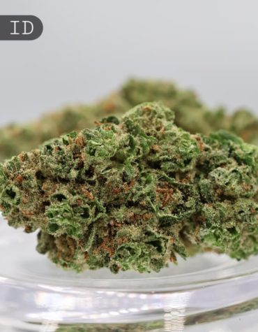 Indoor-Elvis_Cannabis-Flower_The-Dope-Warehouse