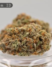 Indoor-OG-Chem_Cannabis-Flower_The-Dope-Warehouse