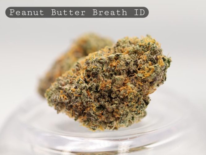 Indoor-Peanut-Butter-Breath_Cannabis-Flower_The-Dope-Warehouse