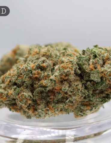 Indoor-RS11_Cannabis-Flower_The-Dope-Warehouse