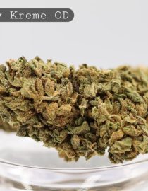 Outdoor-Krispy-Kreme_Cannabis-Flower_The-Dope-Warehouse