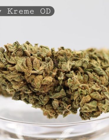 Outdoor-Krispy-Kreme_Cannabis-Flower_The-Dope-Warehouse