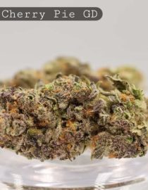 Greendoor-Black-Cherry-Pie_Cannabis-Flower_The-Dope-Warehouse