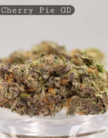 Greendoor-Black-Cherry-Pie_Cannabis-Flower_The-Dope-Warehouse