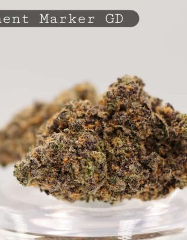 Greendoor-Permanent-Marker_Cannabis-Flower_The-Dope-Warehouse